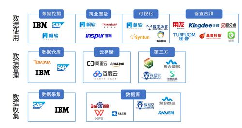 國內做大數(shù)據(jù)的公司有哪些 市場份額各是幾個百分點