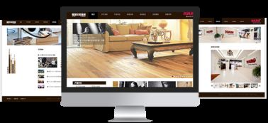 易龍?zhí)彀咐?一站式電商與ERP系統(tǒng)開發(fā)解決方案